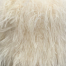 Load image into Gallery viewer, Women Gilet Genuine Ostrich Feather Fur Long Vest