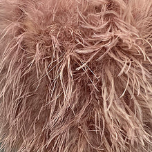 Load image into Gallery viewer, Women Gilet Genuine Ostrich Feather Fur Long Vest