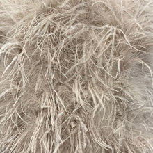Load image into Gallery viewer, Women Gilet Genuine Ostrich Feather Fur Long Vest