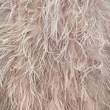 Load image into Gallery viewer, Women Gilet Genuine Ostrich Feather Fur Long Vest