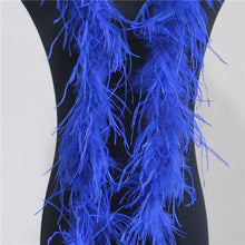 Load image into Gallery viewer, 2m Ostrich Feather Fur Trim Strips Strap Scarf Coats Collar Decorative Accessories