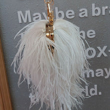 Load image into Gallery viewer, Women&#39;s Fashion Feather Purse Long Hair Lady Turkey Fur Hand Bags Evening Bags Capacity Shoulder Bag S4174